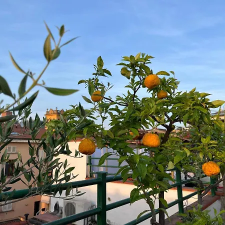Zucconi Hotel 3*